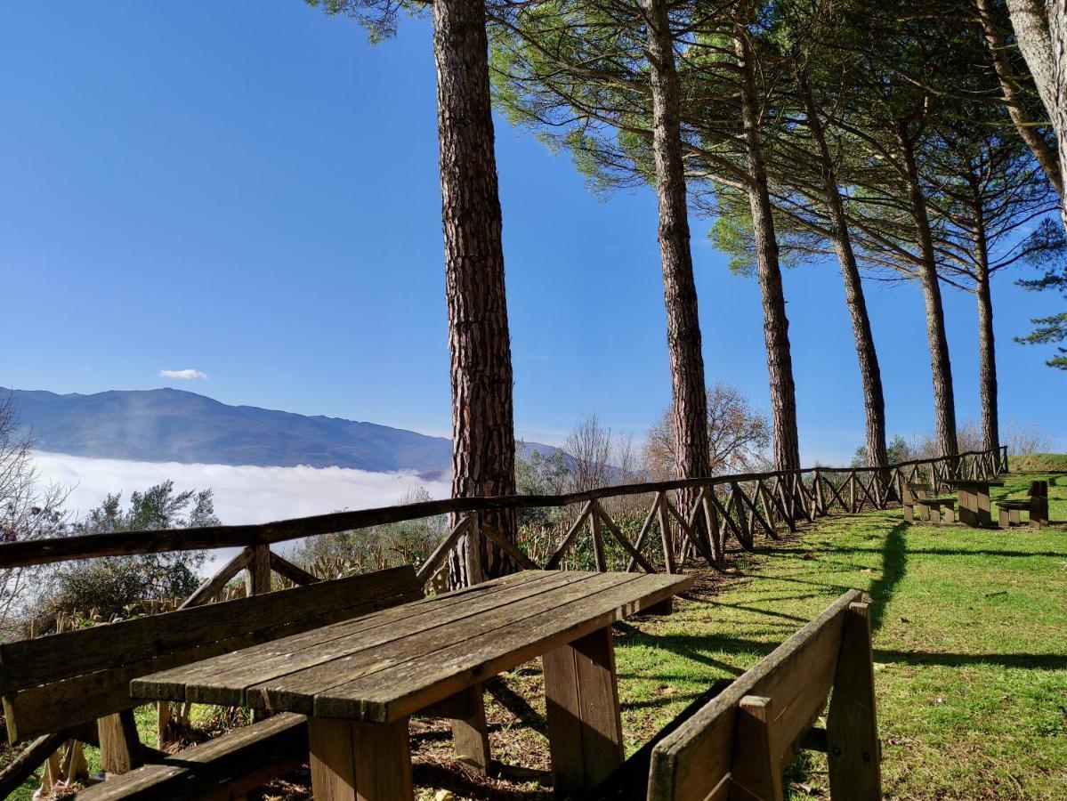 Fonte Degna - Alloggio E Sito Storico Citerna ภายนอก รูปภาพ