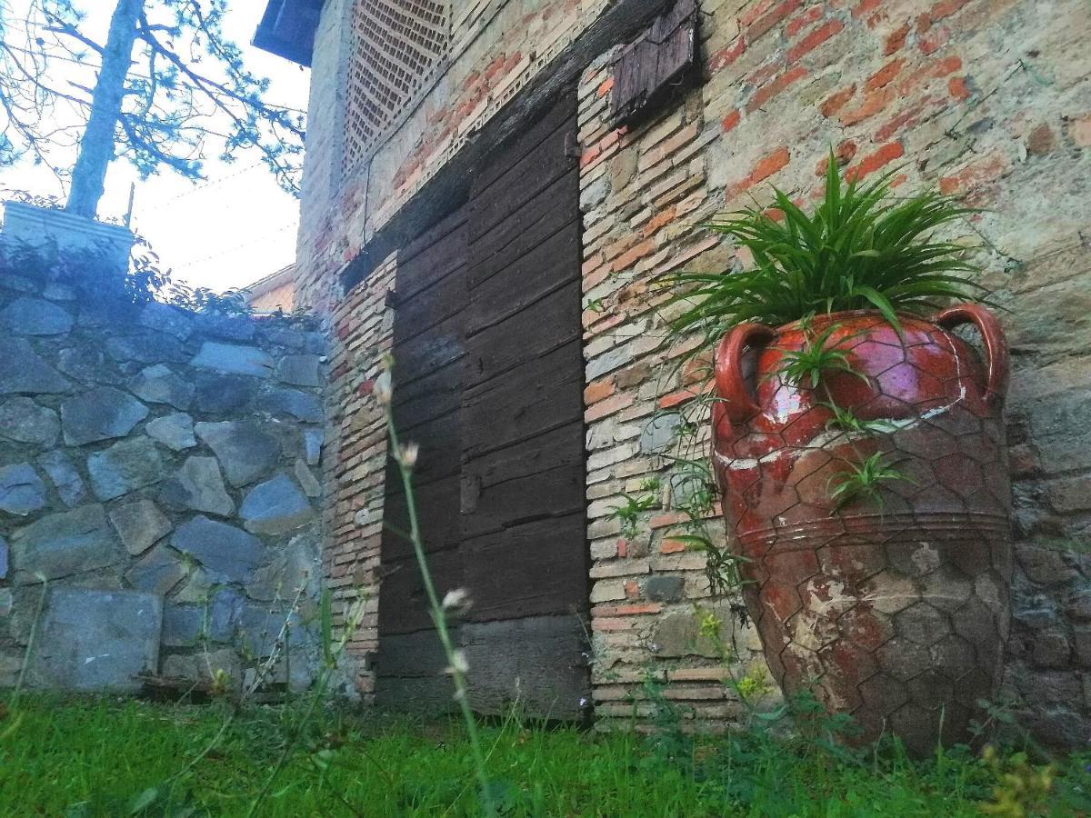 Fonte Degna - Alloggio E Sito Storico Citerna ภายนอก รูปภาพ