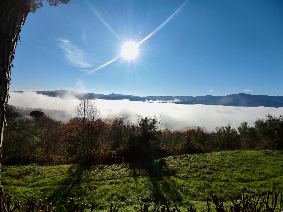 Fonte Degna - Alloggio E Sito Storico Citerna ภายนอก รูปภาพ