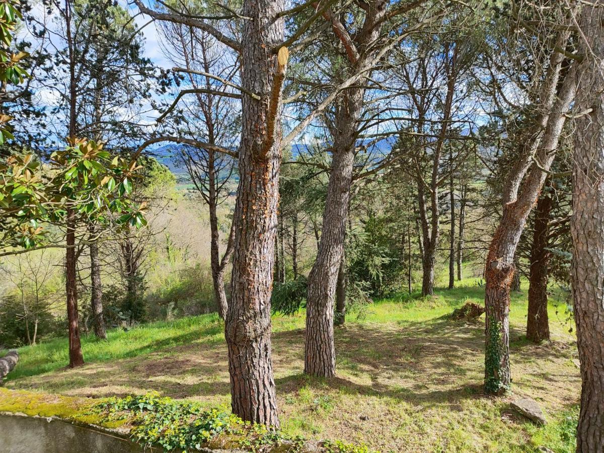 Fonte Degna - Alloggio E Sito Storico Citerna ภายนอก รูปภาพ
